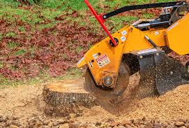Professional Tree Care in Carnation, WA